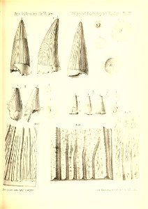 n374_w1150