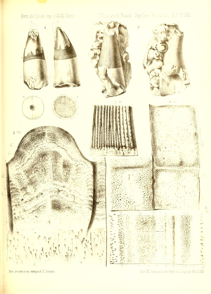 n404_w1150