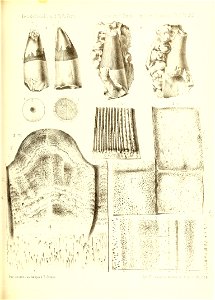 n404_w1150