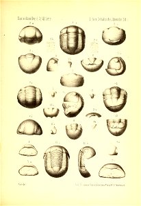 n1058_w1150