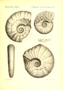 n802_w1150
