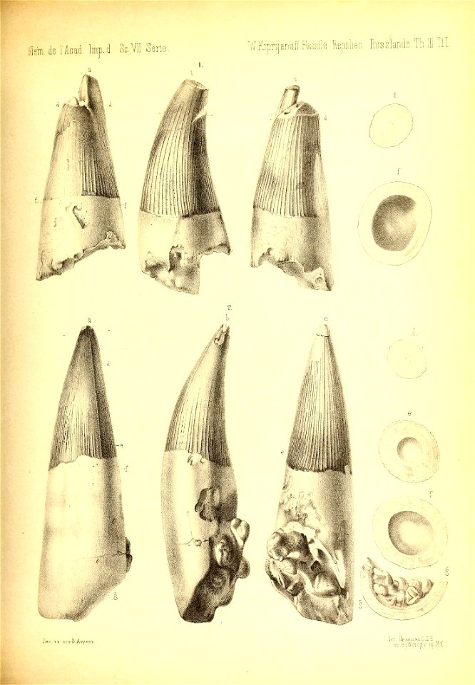 n372_w1150