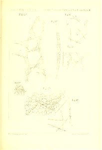 n844_w1150