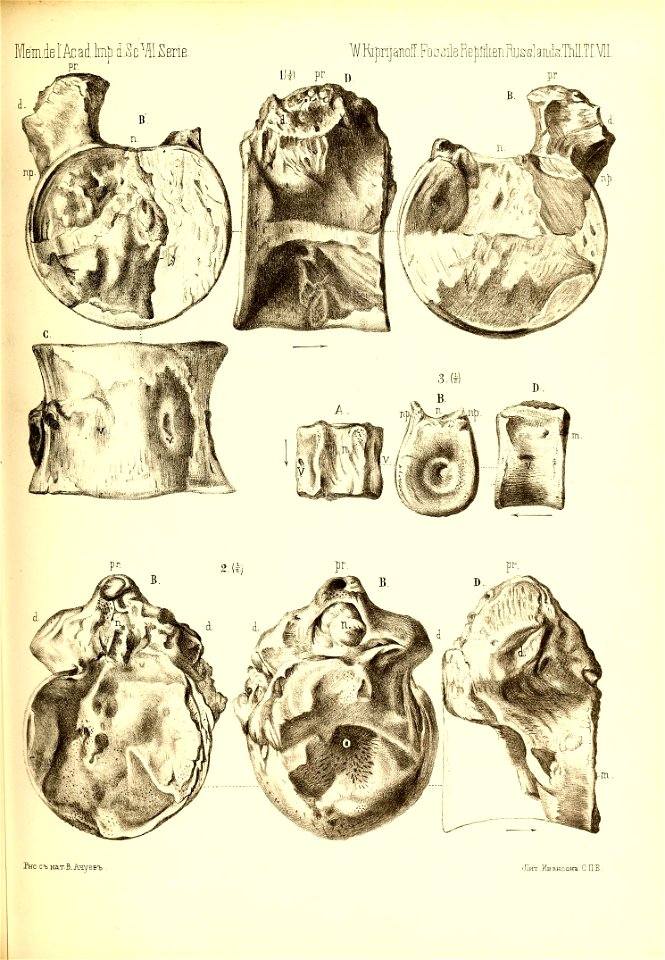 n568_w1150