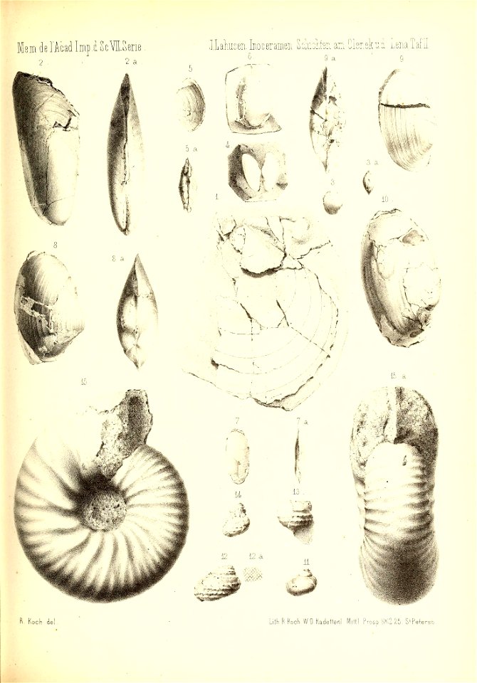 n872_w1150