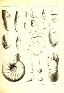n872_w1150