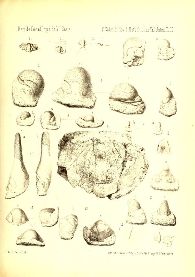 n148_w1150