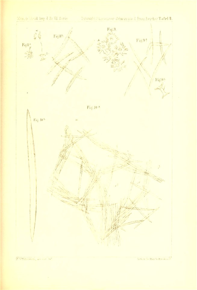 n842_w1150