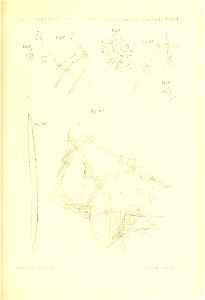 n842_w1150