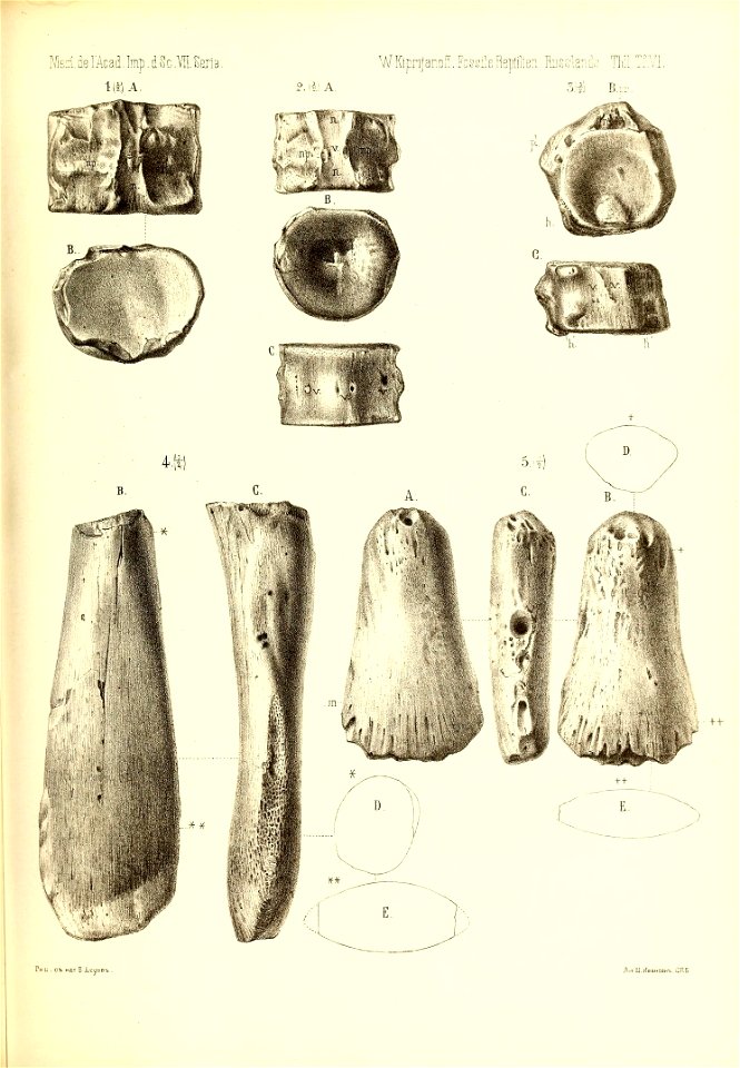 n566_w1150