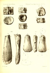 n566_w1150