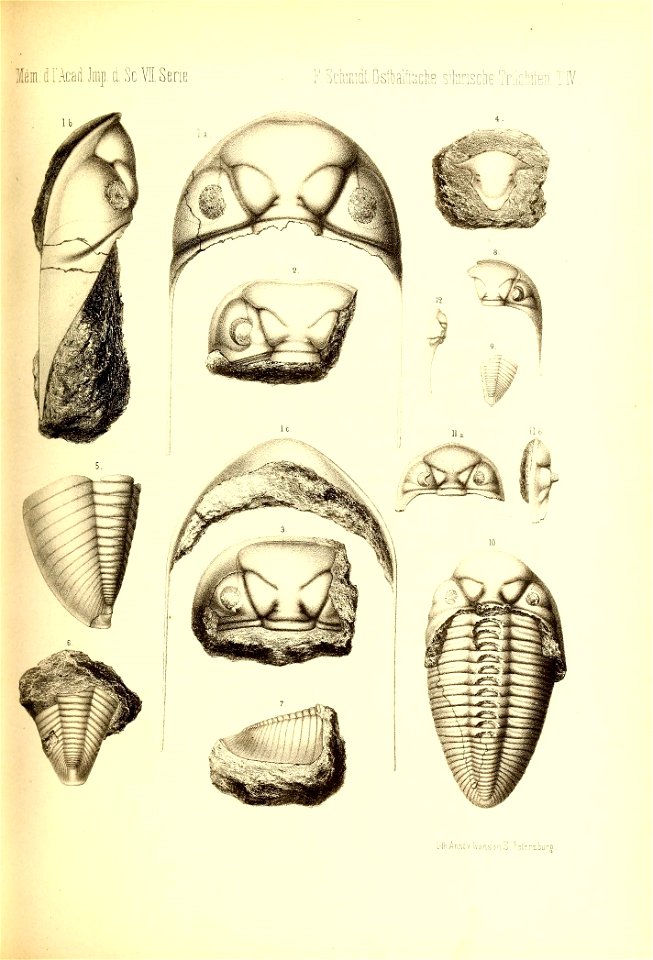 n268_w1150