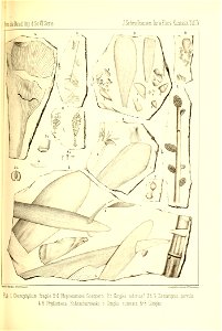 n276_w1150