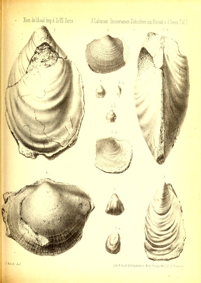 n870_w1150