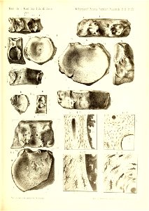 n398_w1150
