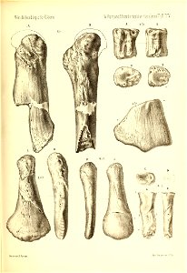 n564_w1150