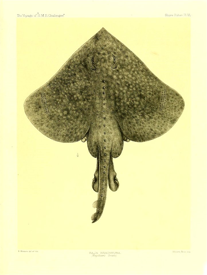 n102_w1150