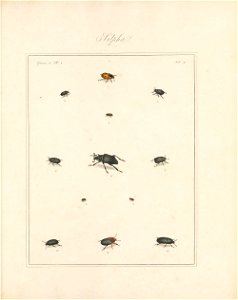n118_w1150
