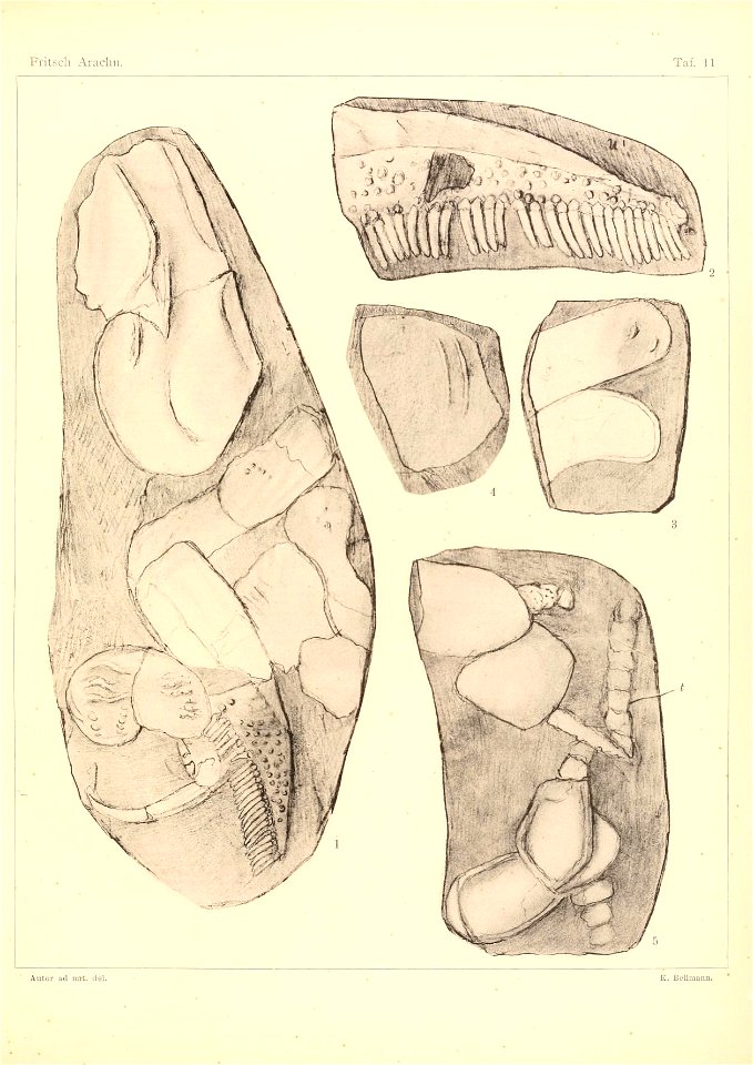 n132_w1150
