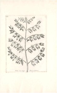 n656_w1150