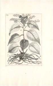 n652_w1150