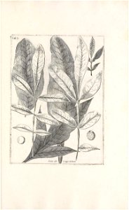 n592_w1150
