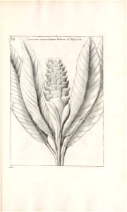 n412_w1150