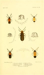 n114_w1150