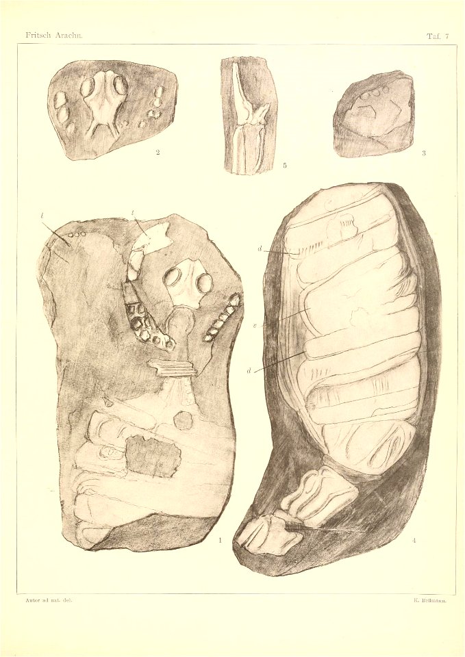 n116_w1150
