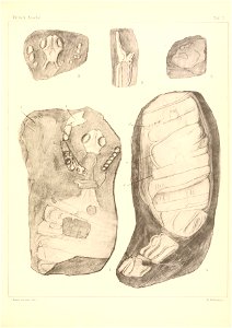 n116_w1150
