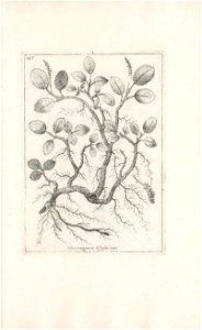 n588_w1150