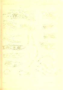 n228_w1150