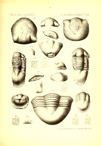 n1082_w1150