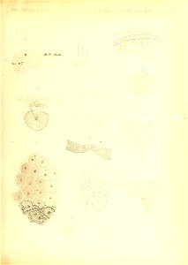 n274_w1150