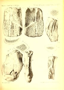 n452_w1150