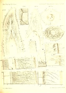 n384_w1150