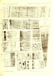 n382_w1150