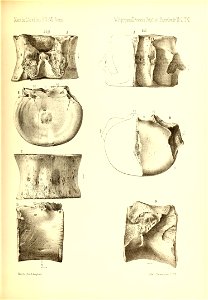 n578_w1150