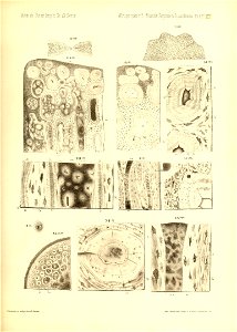 n796_w1150