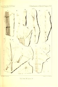 n288_w1150