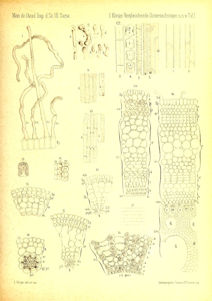n802_w1150