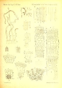 n802_w1150