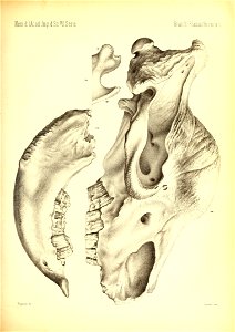 n478_w1150