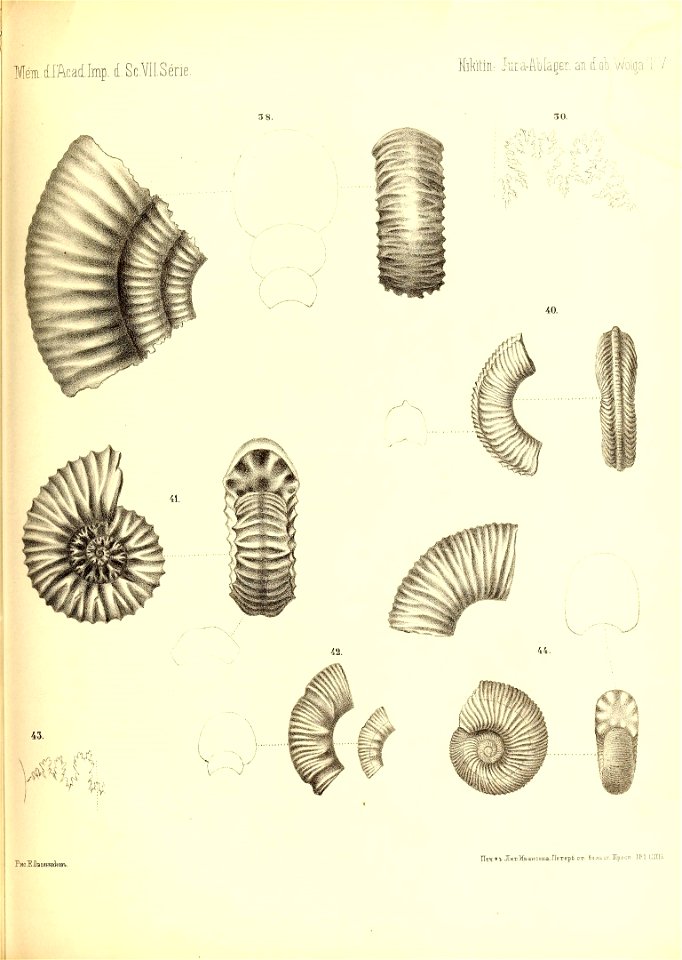 n508_w1150