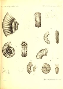 n508_w1150