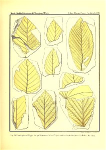 n368_w1150