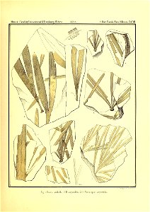 n270_w1150