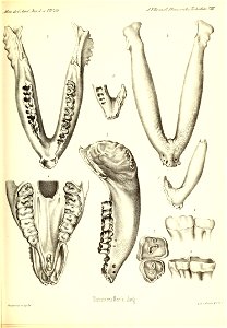 n540_w1150