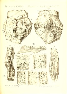 n408_w1150