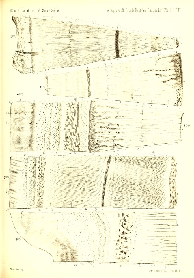 n378_w1150